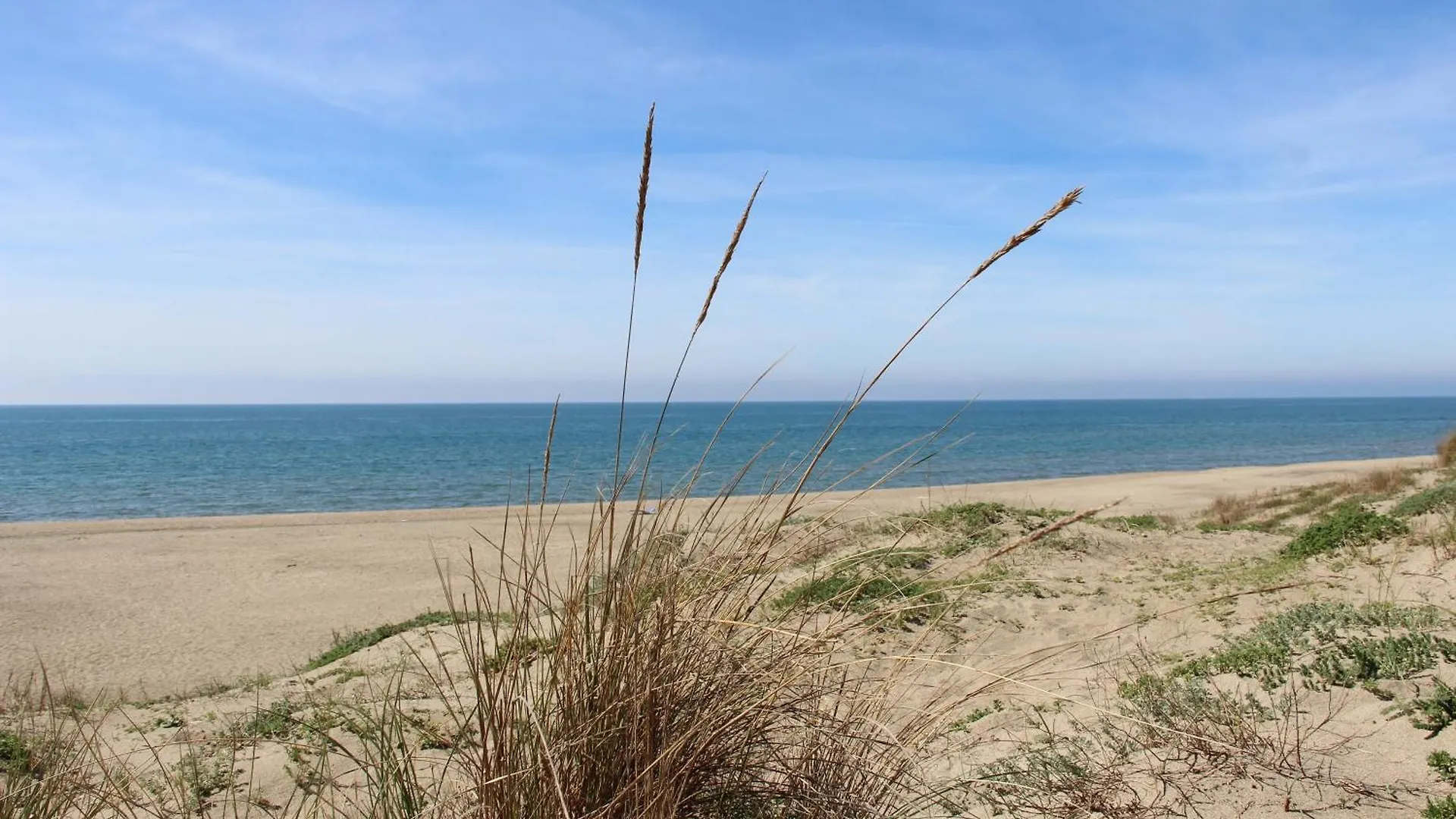 Appartamento Via dei Fabbri Navali Lido di Ostia 0*,  Italia